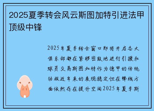 2025夏季转会风云斯图加特引进法甲顶级中锋